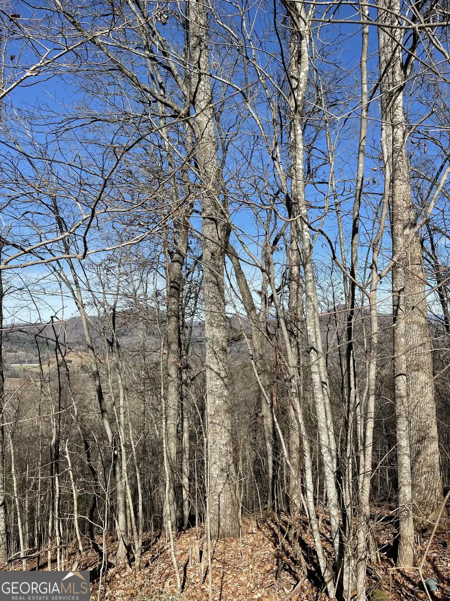 0 Harris Ridge Road #27, Young Harris, GA 30582 - Image #3