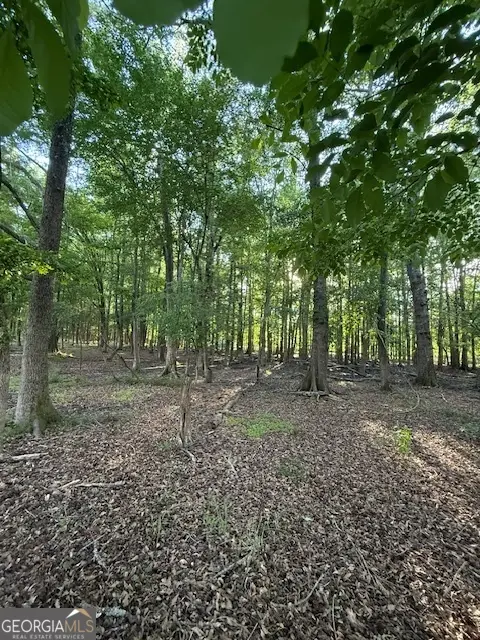LOT 2 SOUTH OF  Redwine Road #LOT 2 SOUTH OF 1585, Fayetteville, GA 30215 - Image #3