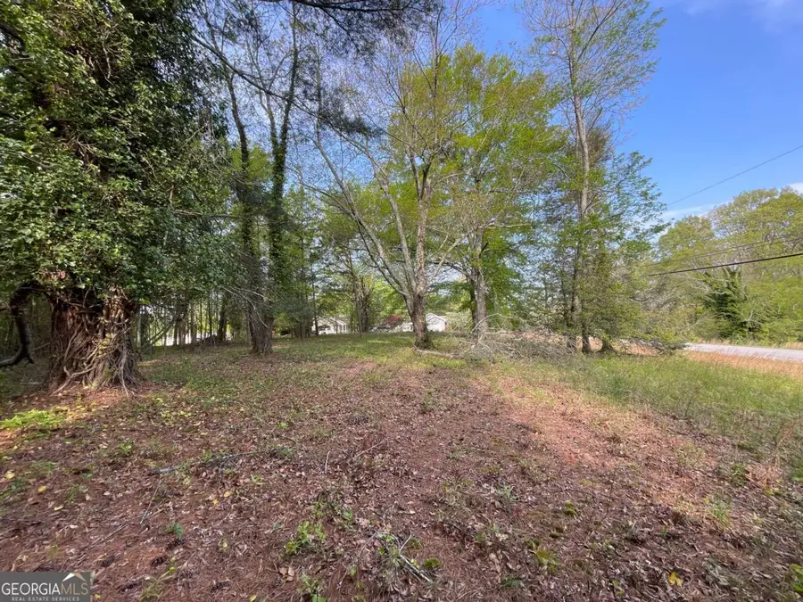 0 Demorest Mt Airy Highway, Demorest, GA 30535 - Image #2