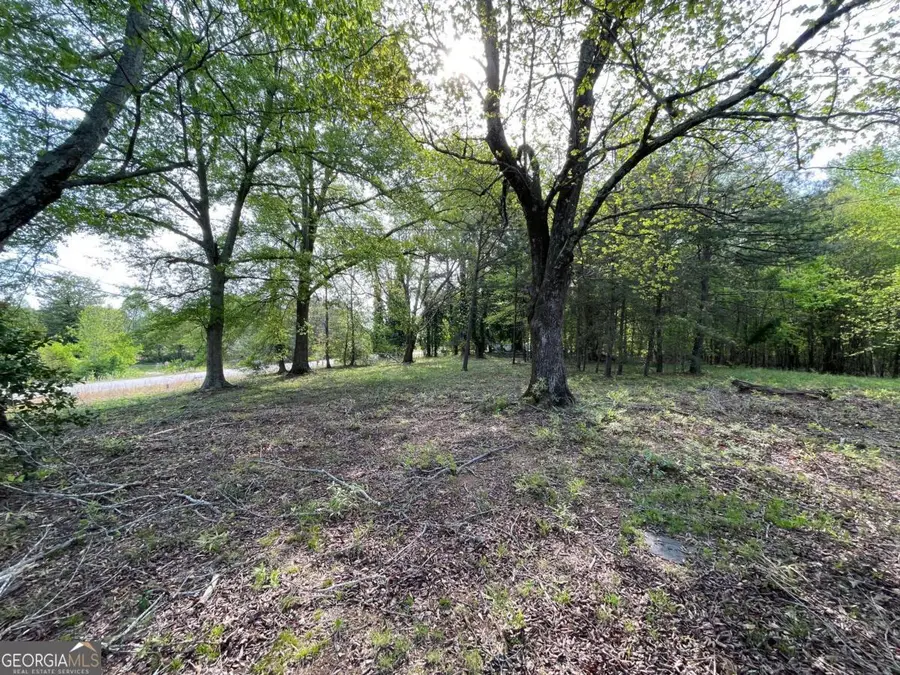 0 Demorest Mt Airy Highway, Demorest, GA 30535 - Image #3