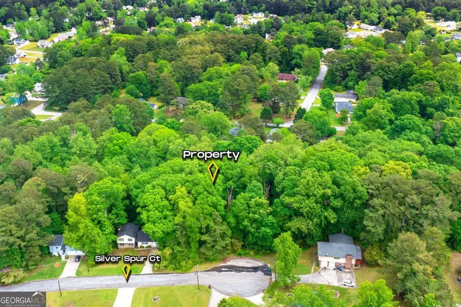 1298 Silver Spur Court, Lithonia, GA 30058 - Image #3