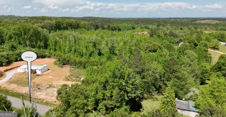 22024 Co Rd 49, Muscadine, AL 36269 - Image #2