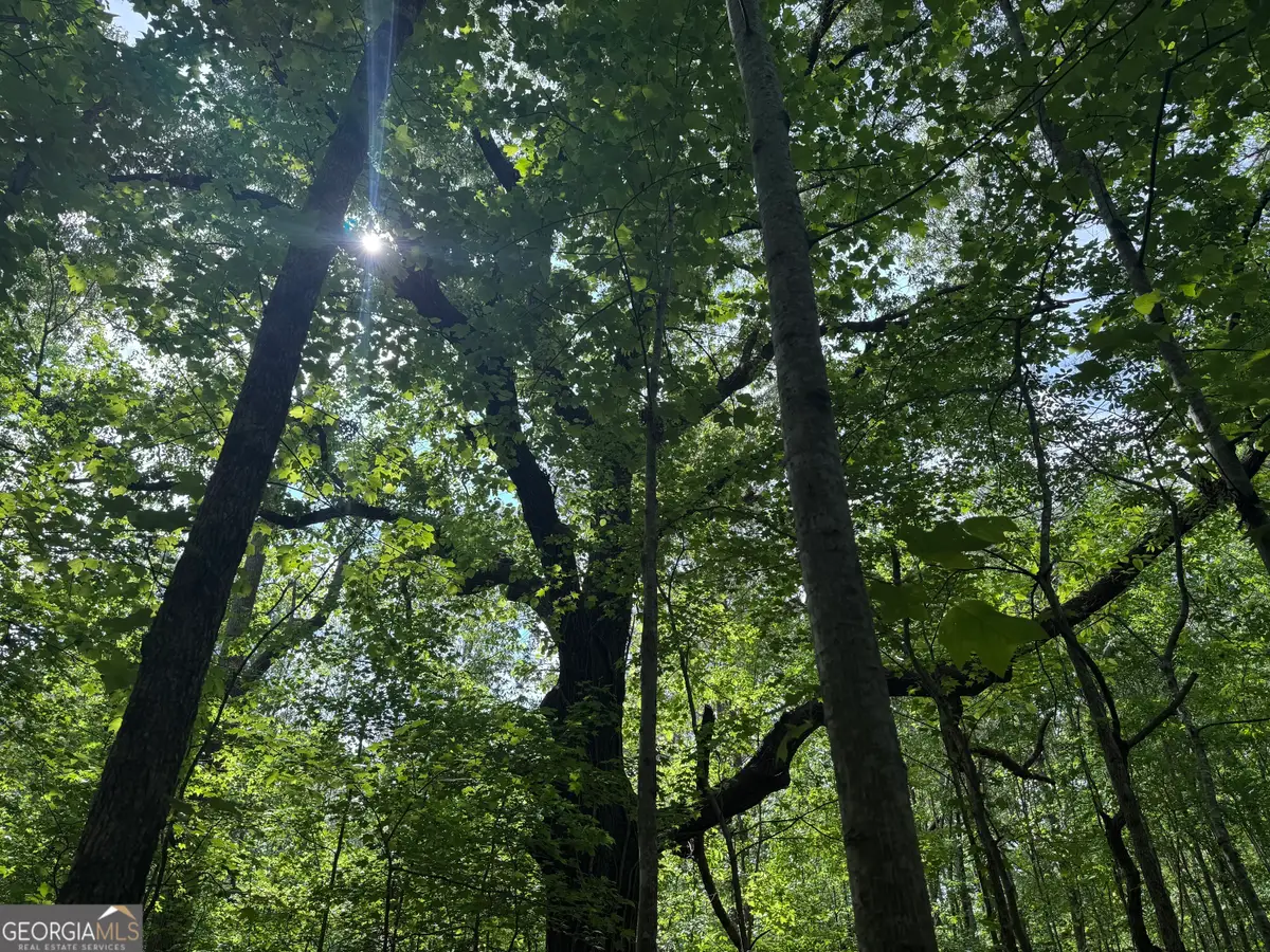 5245 Veal Road, Fairburn, GA 30213 - #1