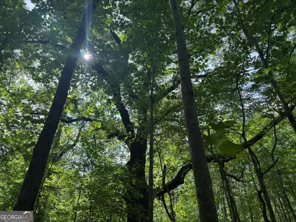 5245 Veal Road, Fairburn, GA 30213