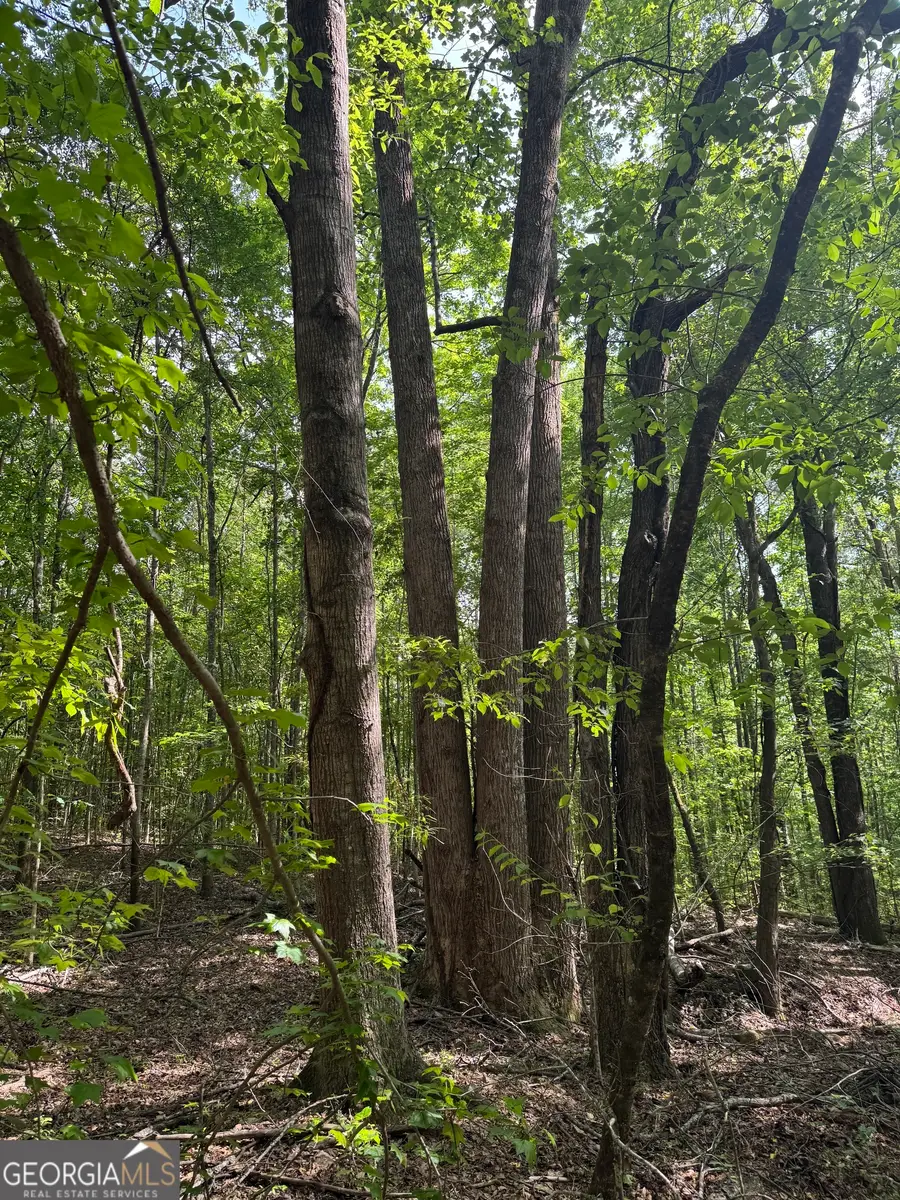 5245 Veal Road, Fairburn, GA 30213 - #3