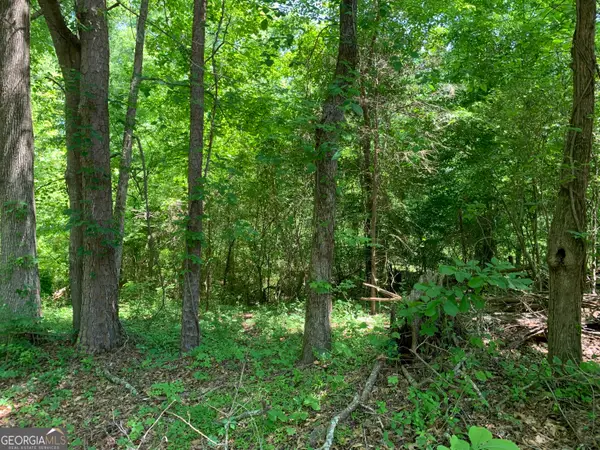 1030 Chambers Court, Watkinsville, GA 30677