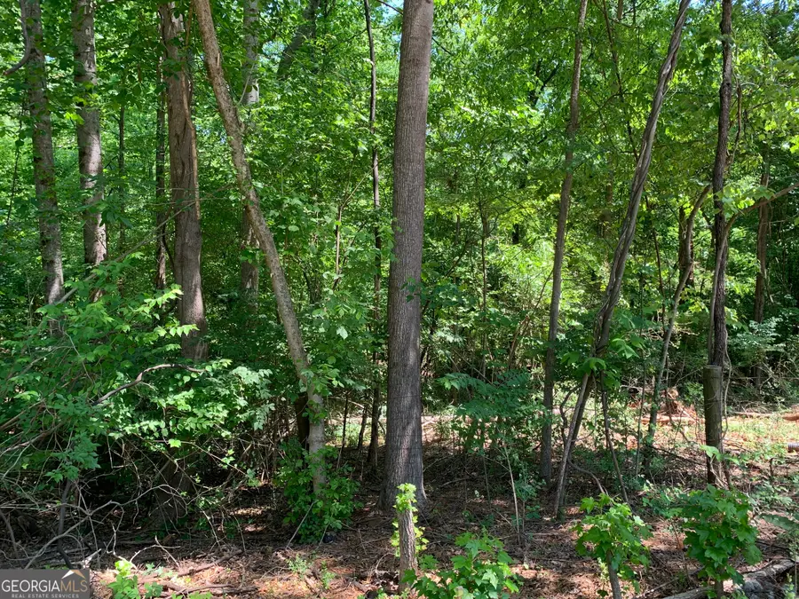 1030 Chambers Court, Watkinsville, GA 30677 - Image #3