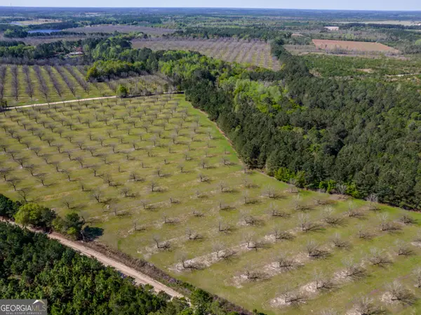 0 Kermit Road, Cobbtown, GA 30420