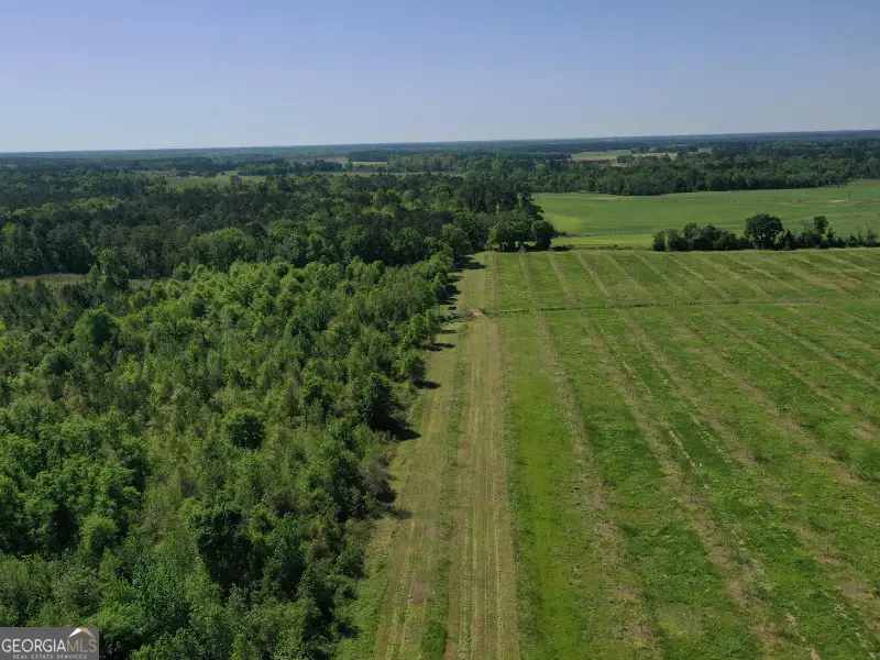 302 E Flournoy Road, Hawkinsville, GA 31036 - Image #3