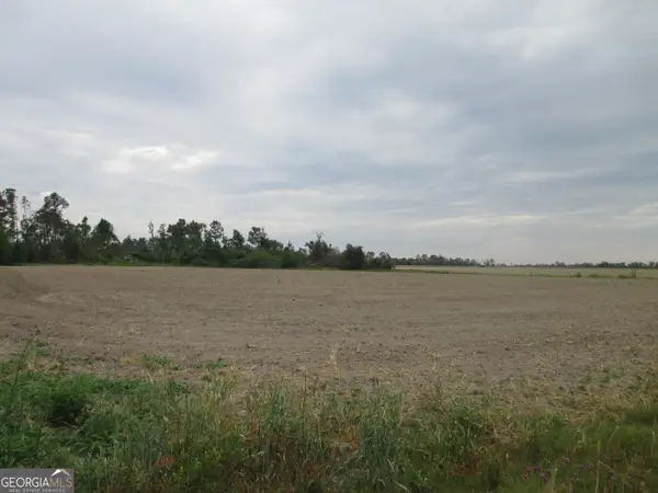 08600022T1 Redbird Road, Lumber City, GA 31549