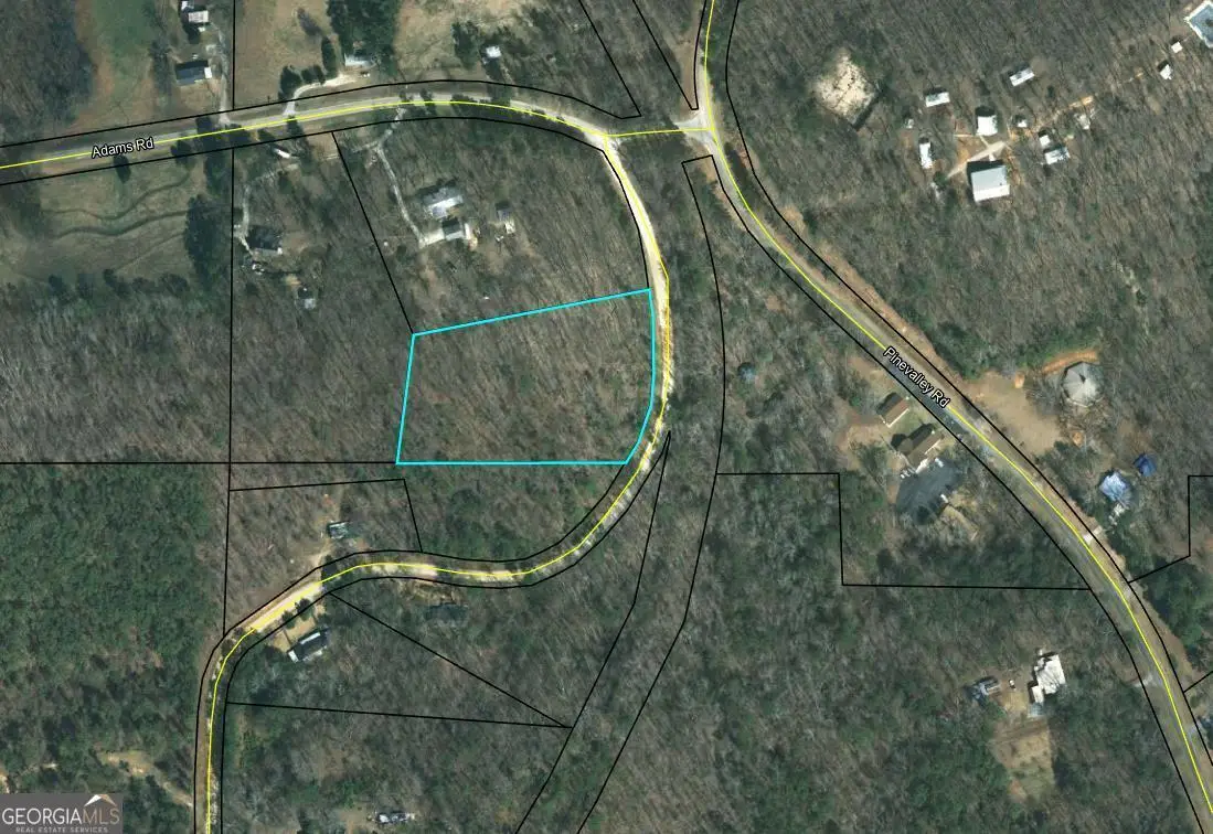 0 Bankston Road, The Rock, GA 30285 - Image #1