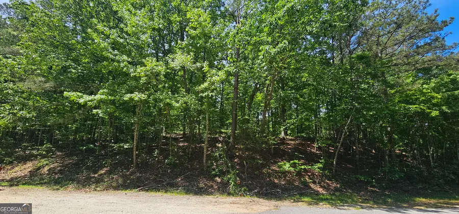 0 Bankston Road, The Rock, GA 30285 - Image #2