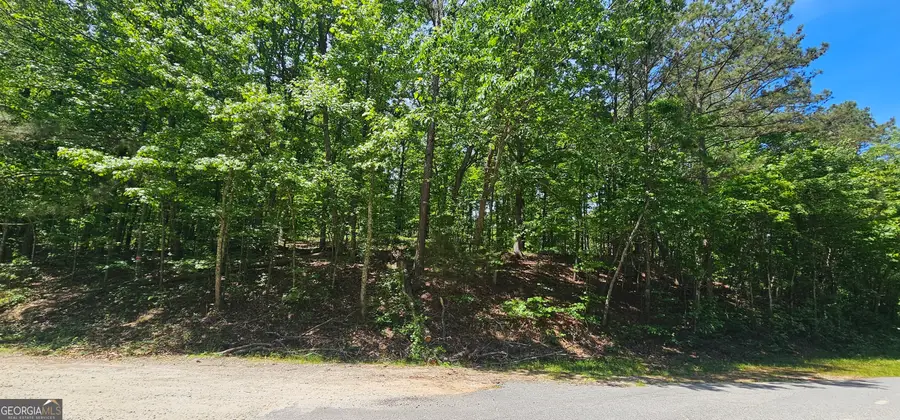 0 Bankston Road, The Rock, GA 30285 - Image #3