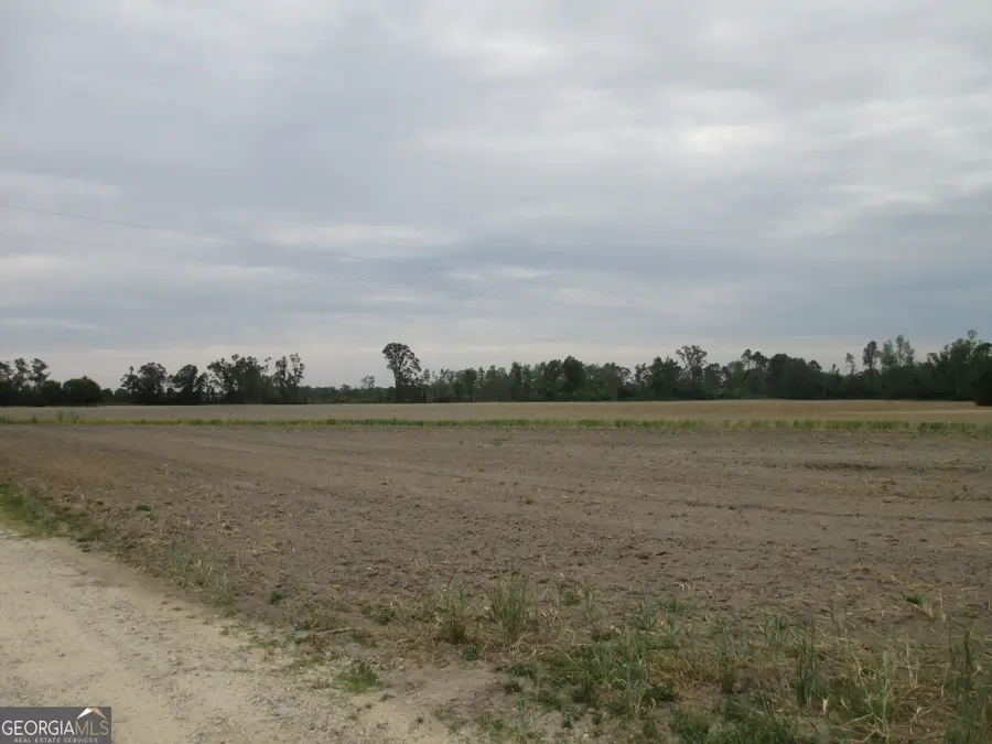 08600022T5 Redbird Road, Lumber City, GA 31549 - Image #2