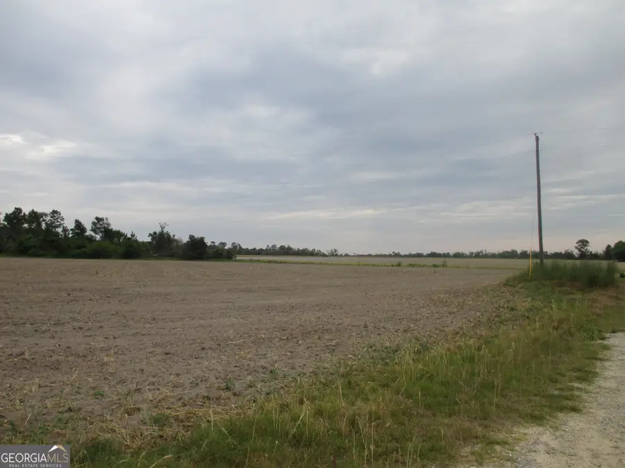 08600022T5 Redbird Road, Lumber City, GA 31549 - Image #3