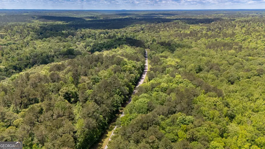 37.23 ACRES / 0 Smokey Road, Lagrange, GA 30241 - Image #3