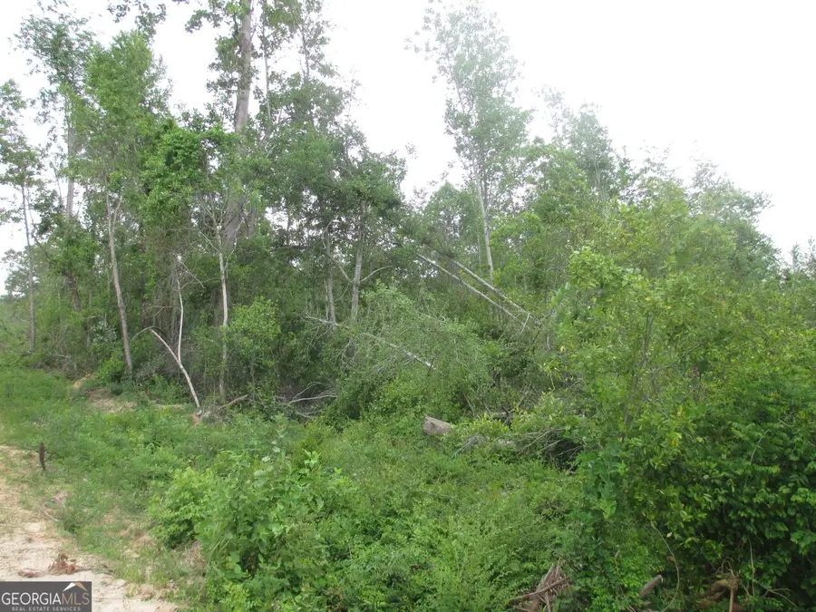 08600008T6 Hayride Road, Lumber City, GA 31549 - Image #2