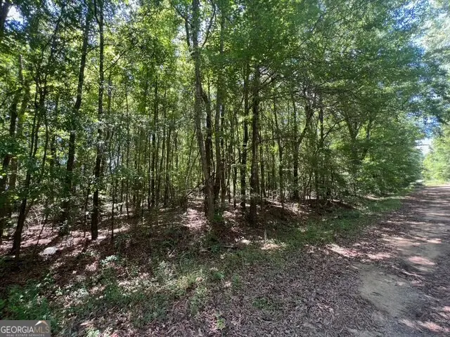 520 E Church Street, Sandersville, GA 31082 - Image #3