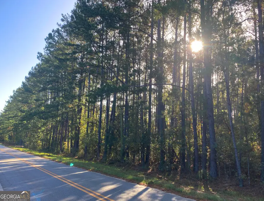 0 Mosley Road, Claxton, GA 30417 - Image #3