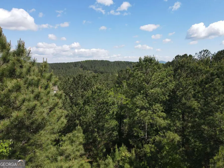 LOT 379 Marshall Rise Road, Blairsville, GA 30512 - #3