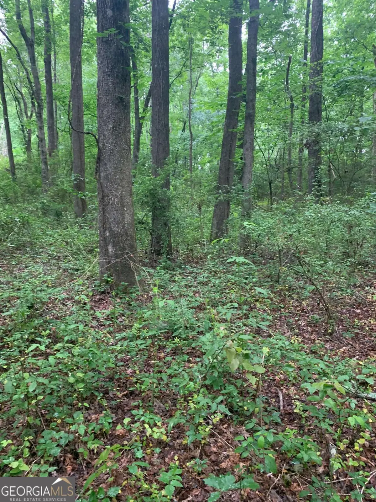 7700 Poole Circle #TRACT B, Alto, GA 30510 - #1