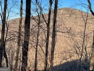 LOT 25 Mountainside Drive, Cleveland, GA 30528 - #1