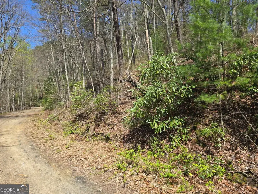 TRK 1&2 Kimsey Mountain Highway, Turtletown, TN 37391 - Image #2