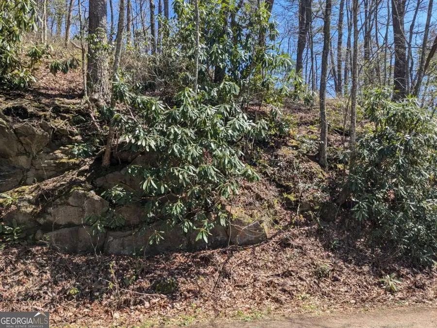 TRK 1&2 Kimsey Mountain Highway, Turtletown, TN 37391 - Image #3