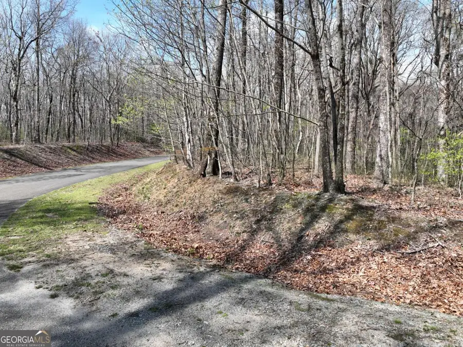 189 St Andrews Way, Ellijay, GA 30536 - #2