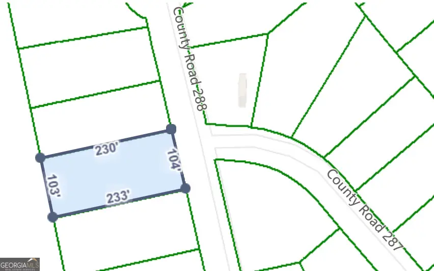 0 Dianthus Drive, Sparta, GA 31087 - Image #2