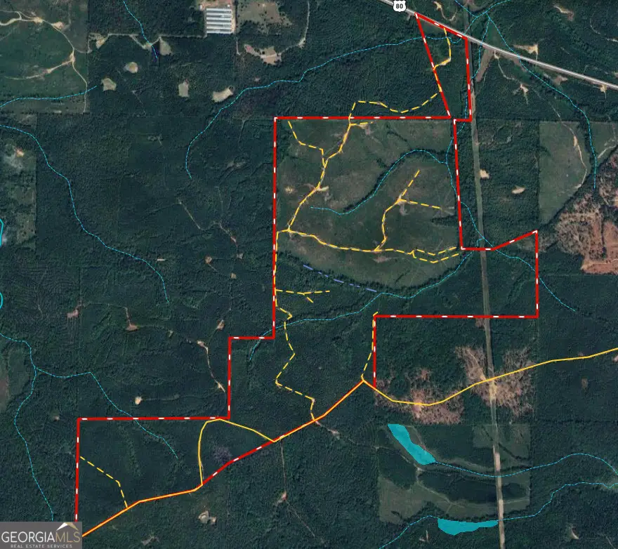 650+/- AC Talbotton Hwy, Butler, GA 31006 - Image #1