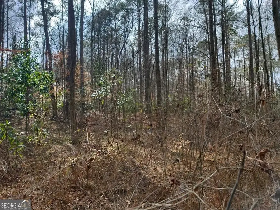0 Brookwood Drive, Mableton, GA 30126 - Image #3