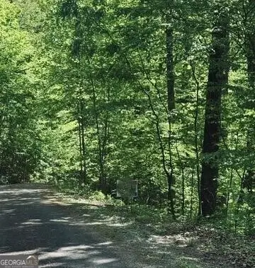 409 &amp; 411 Barefoot Rise, Hiawassee, GA 30546 - Image #1