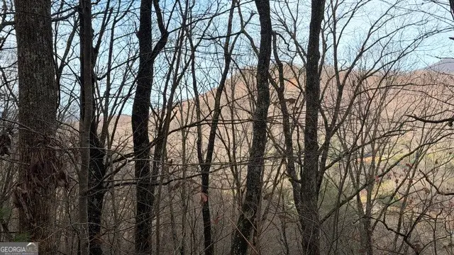 409 &amp; 411 Barefoot Rise, Hiawassee, GA 30546 - Image #2