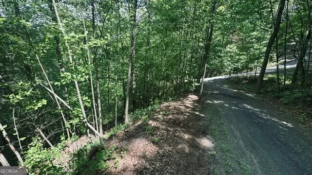 409 &amp; 411 Barefoot Rise, Hiawassee, GA 30546 - Image #3