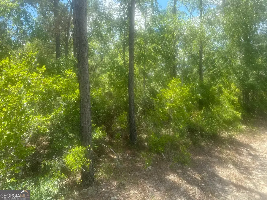 0 Robert Chapel Cemetery Road, Glennville, GA 30427 - Image #2