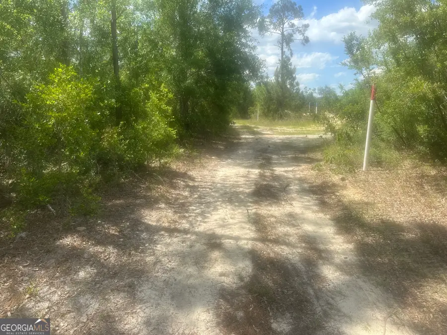 0 Robert Chapel Cemetery Road, Glennville, GA 30427 - Image #3