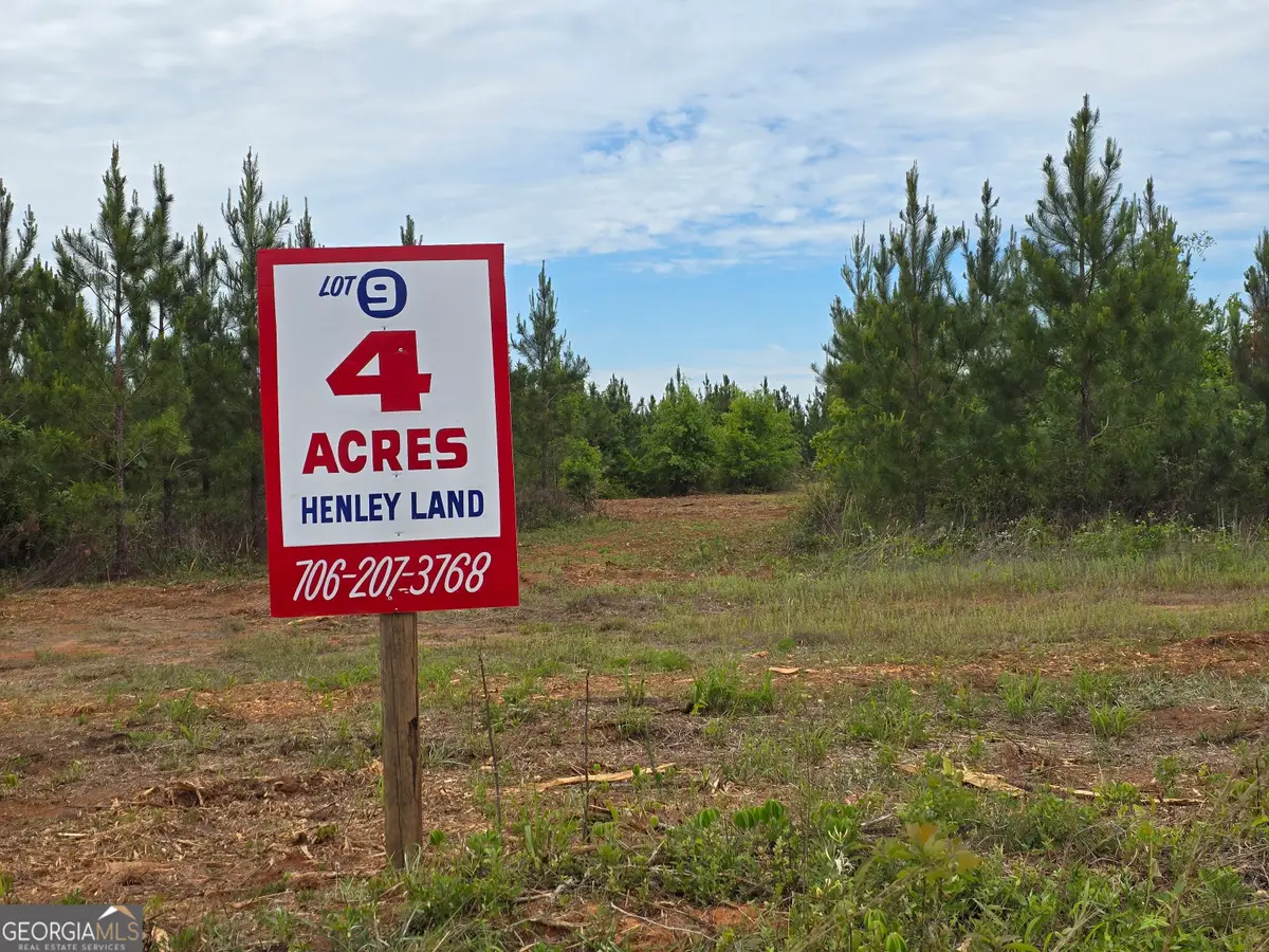 09 Marvin Murphy Road, Ellaville, GA 31806 - Image #1