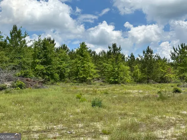 LOT 8 Highway 19, Dublin, GA 31021