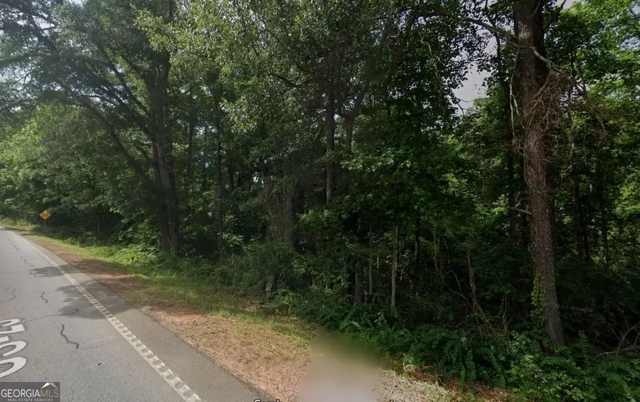 0 Highway 42 S, Locust Grove, GA 30248 - Image #3
