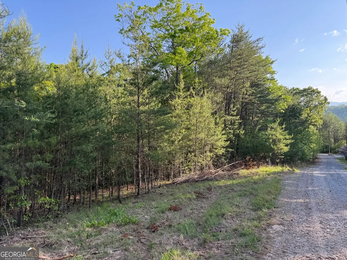 502 River Hills Road, McCaysville, GA 30555 - Image #1