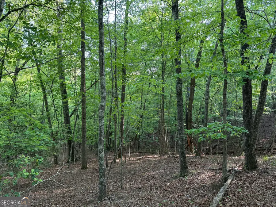 502 River Hills Road, McCaysville, GA 30555 - Image #3