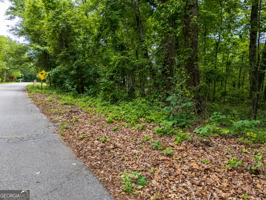 3.26 ACRES Mountain Ridge Drive, Manchester, GA 31816 - Image #3