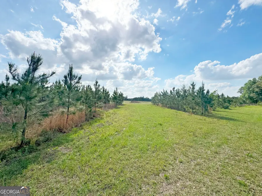 TBD3 Cumbie Road, Climax, GA 39834 - Image #3