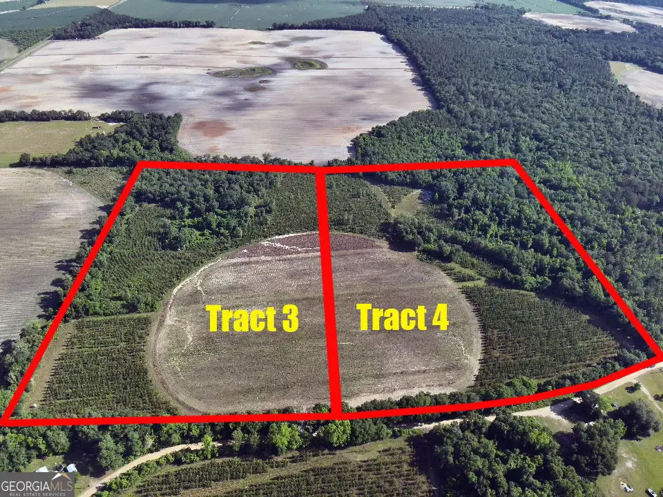 TBD4 Cumbie Road, Climax, GA 39834 - Image #1