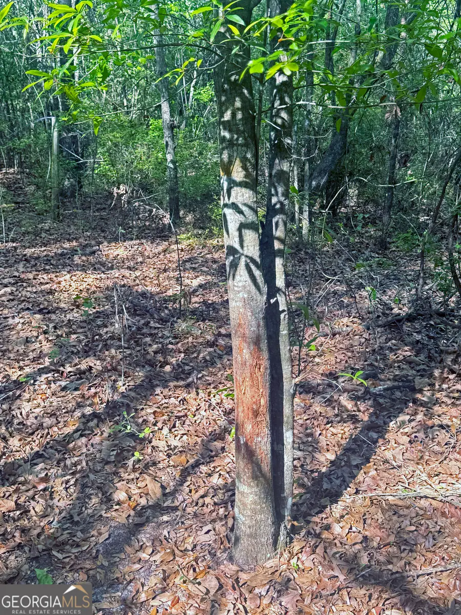 TBD4 Cumbie Road, Climax, GA 39834 - Image #3