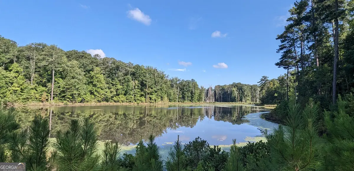 LOT 3 Joe Roberts Road, Newnan, GA 30263 - #1