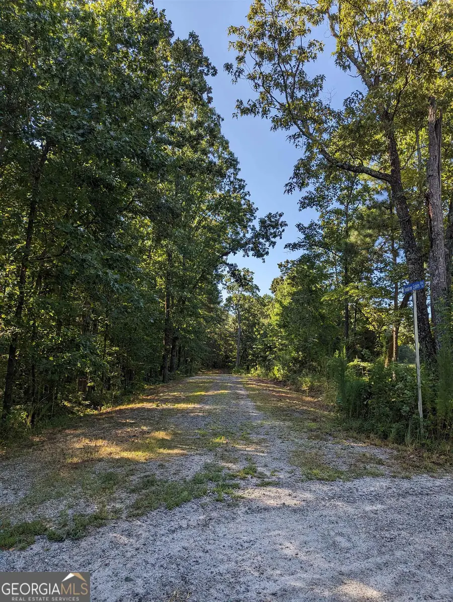 LOT 1 Joe Roberts Road, Newnan, GA 30263 - #3
