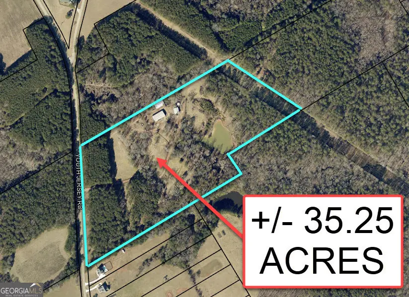 +/- 35 ACRES Youth Jersey Road, Covington, GA 30014 - #2