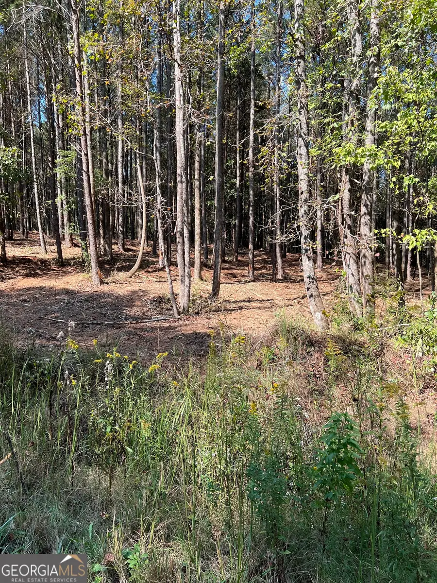 800 Browning Road, Jasper, GA 30143 - Image #2